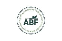 bilyard 1200 - Futbolinfo.az